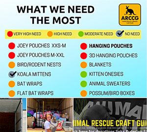 Help the hurt and displaced animals in Australia