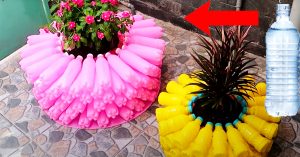 DIY Flower Pot Using Plastic Bottles | DIY Upcycling