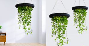 DIY Money Plant Hanging Planter From Bike Tire | Upcycling Crafts
