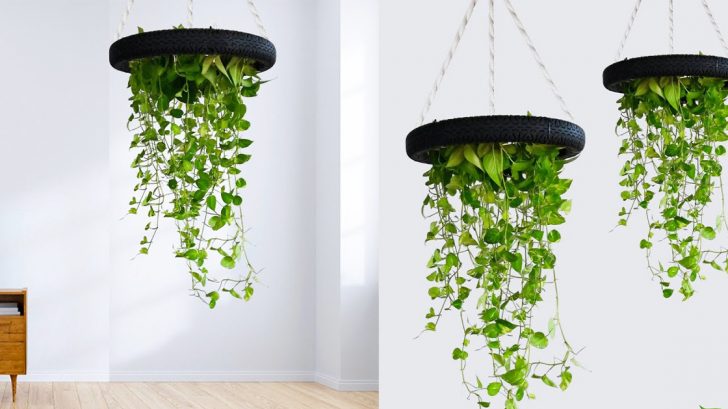 DIY Money Plant Hanging Planter From Bike Tire | Upcycling Crafts